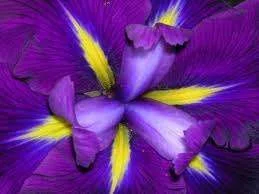 images-6.webp