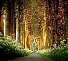 images-6.webp