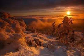 images-6.webp