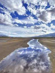 images (62).webp