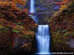 images-7.webp