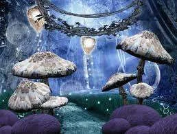 images-7.webp