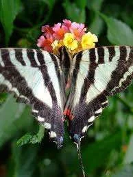 images-7.webp
