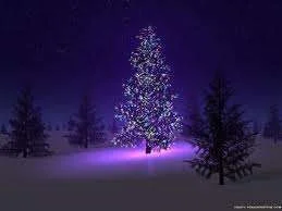 images-7.webp