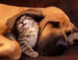 images-7.webp
