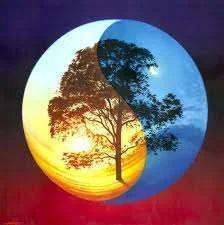 images-7.webp