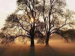 images-7.webp