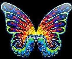 images-8.webp