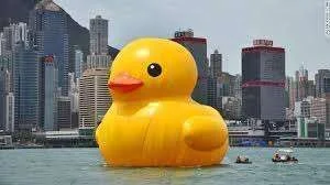 images[8].webp