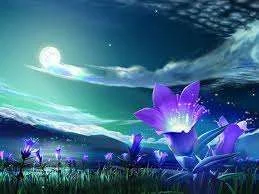 images-8.webp