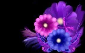 images-9.webp
