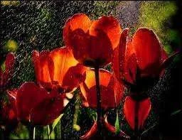 images-9.webp