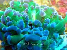 images-9.webp