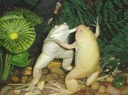 images-9.webp