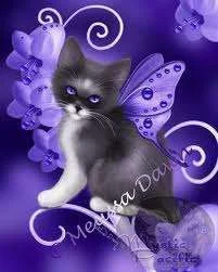 images-9.webp
