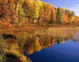 images-9.webp