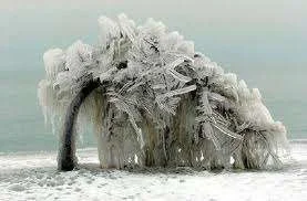 images.webp