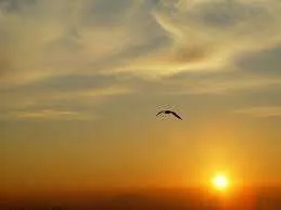 images.webp