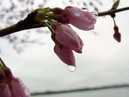 images.webp