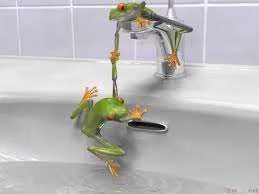 images.webp