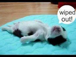images.webp