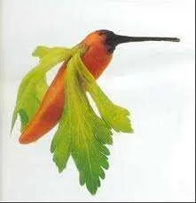 images.webp