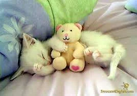 images.webp