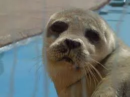 images.webp