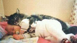 images.webp