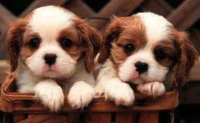 images.webp