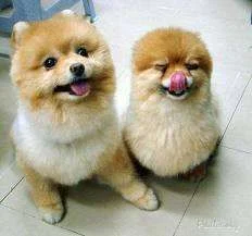 images.webp