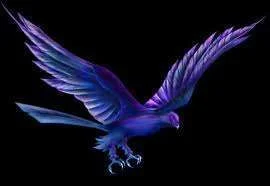 images.webp