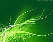images.webp