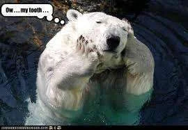 images.webp
