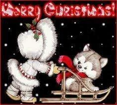 images.webp