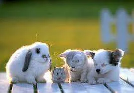images1.webp