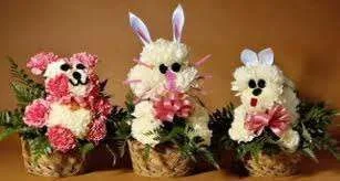 images2.webp