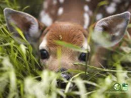 images2.webp
