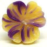 imagesCA4DG04Q.webp