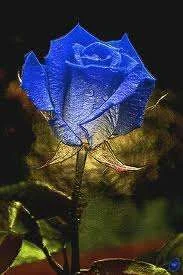 imagesCA6UWCAS.webp
