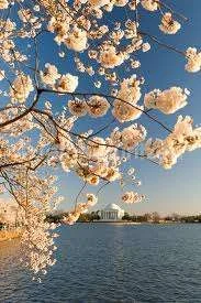 imagesCA8H6NBC.webp