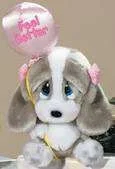 imagesCA8PN33B.webp