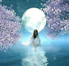 imagesCA8VTWLZ.webp