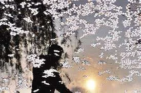 imagesCAAC983V.webp