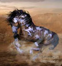 imagesCAC0N4ZU.webp