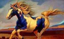 imagesCAENGSOP.webp