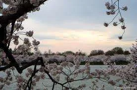 imagesCAEZC15K.webp