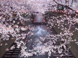 imagesCAGLKW6R.webp