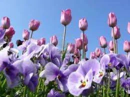 imagesCAH7R940.webp