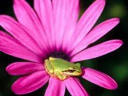 imagesCAHJX2M4.webp